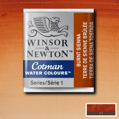 094376901436 Acuarela Pasta Cotman Rf 074 Tierra De Siena Tostada Winsor Newton Watercolour Burnt Sienna Colour Number 74 Pigment Code Pr101 Size Half Pan - Cartel Arte & Papelería