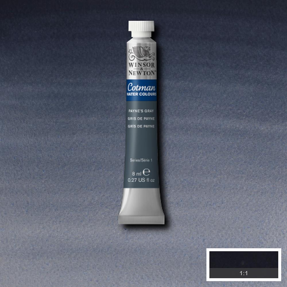 094376902174 Acuarela Cotman Acuarela 8 ML Gris Dee Payne Cot RF 465 Cartel Arte & Papelería