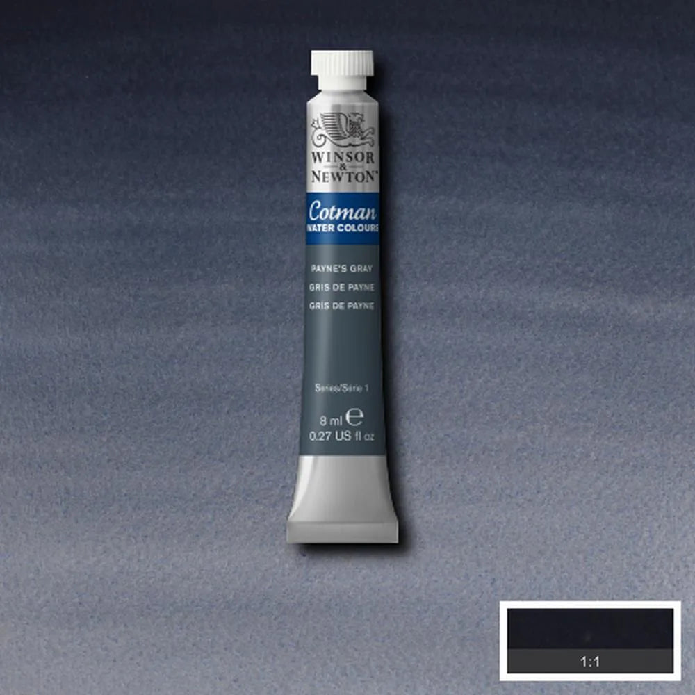 094376902174 Acuarela Cotman Acuarela 8 ML Gris Dee Payne Cot RF 465 Cartel Arte & Papelería