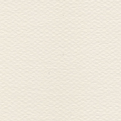 Cartulina Teintes Canson