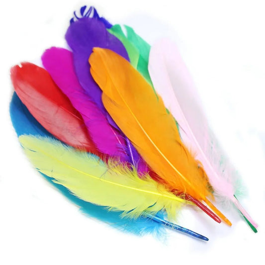 7700000001047 Plumas Colores Cartel Paquete Colores Plumas Colores Cartel Arte & Papelería