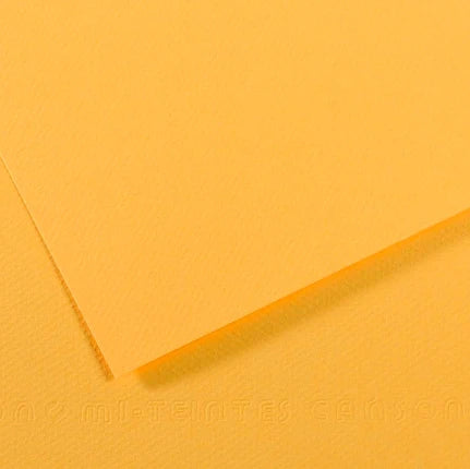 Cartulina Teintes Canson