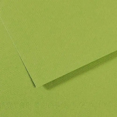 Cartulina Teintes Canson