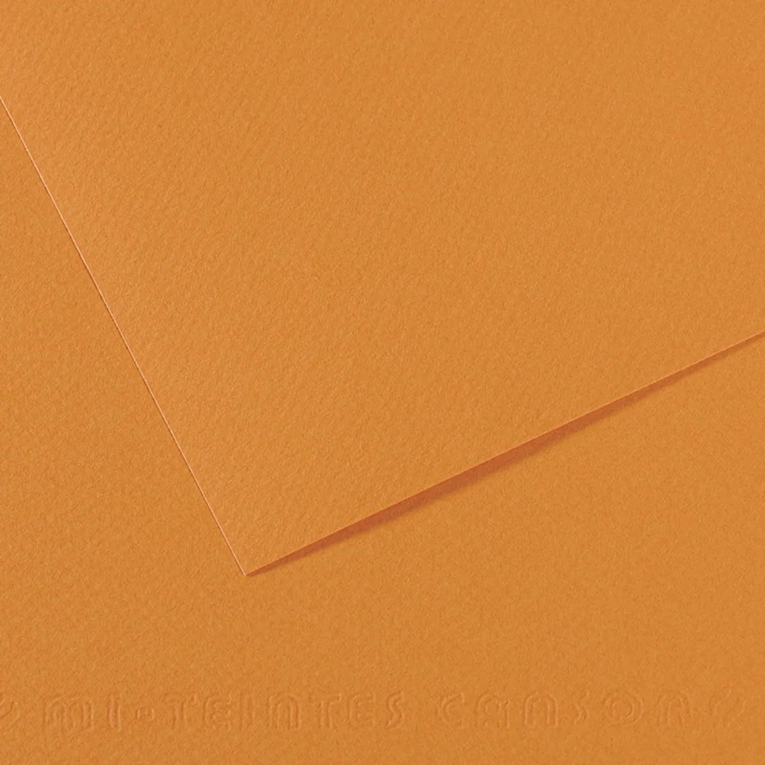 7706563323848 Cartulina Teintes Canson 50 X 65 cm - 160gr Saumon Mi-Teintes 384 Cartel Arte & Papelería