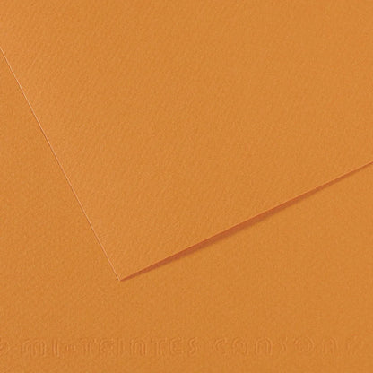 7706563323848 Cartulina Teintes Canson 50 X 65 cm - 160gr Saumon Mi-Teintes 384 Cartel Arte & Papelería