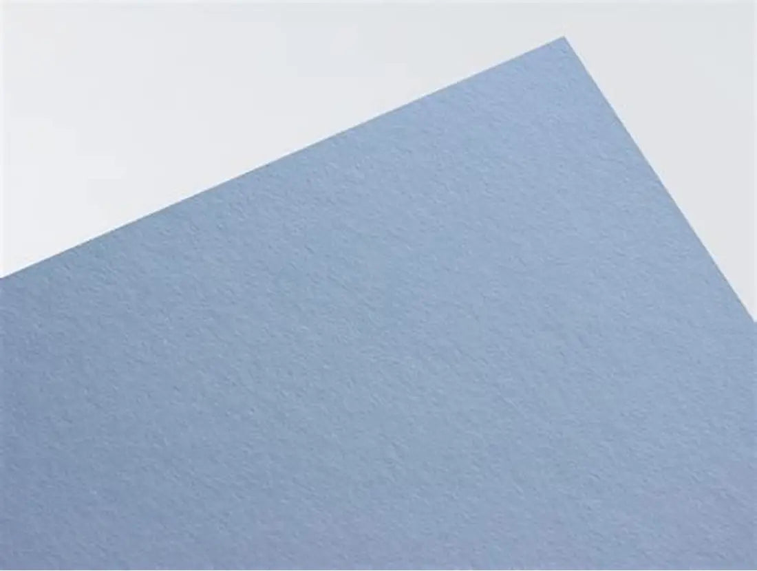 Cartulina Teintes Canson