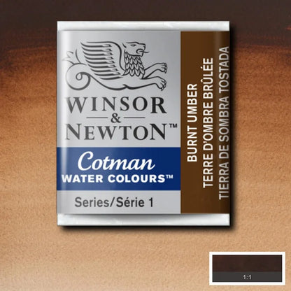 094376901443 Acuarela En Pasta Cotman Winsor & Newton Unidad Rf 076 Tierra de Sombra Tostada Cartel Arte & Papelería